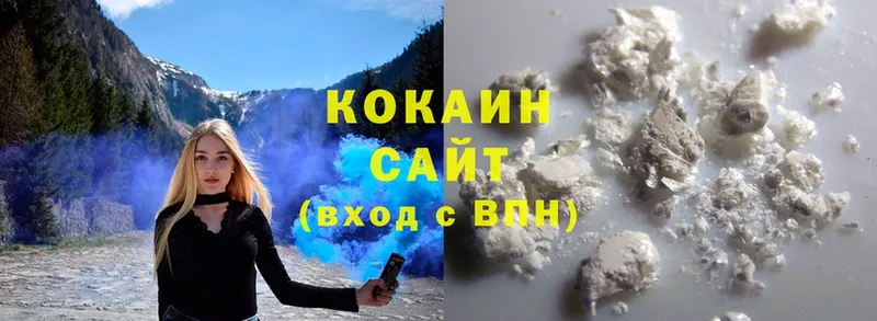 где можно купить   Балтийск  Cocaine 98% 